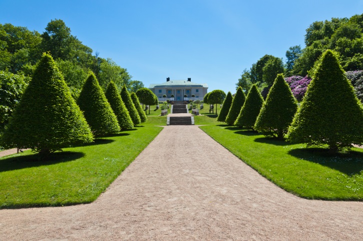 Lawn Maintenance